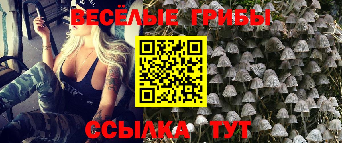 Псилоцибиновые грибы Cubensis Качканар
