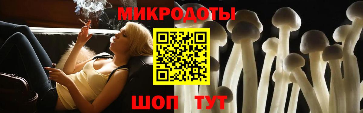Псилоцибиновые грибы MAGIC MUSHROOMS  Вход с VPN  Качканар 
